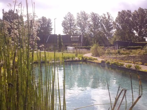 fototuin