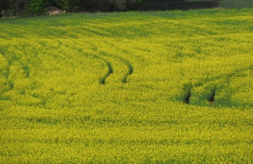 landbouw, bodem, peak soil