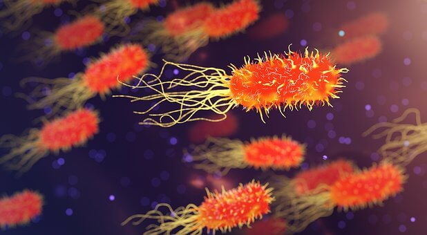 bacterieën, vervuiling