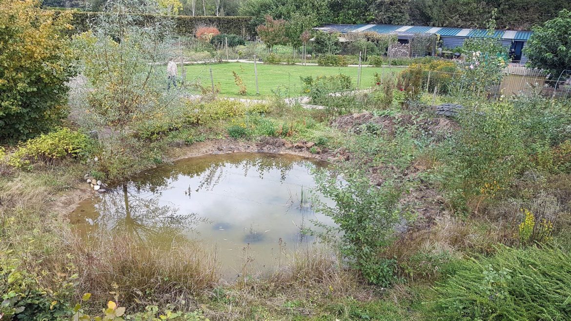 wateropvang, overstroming, regen