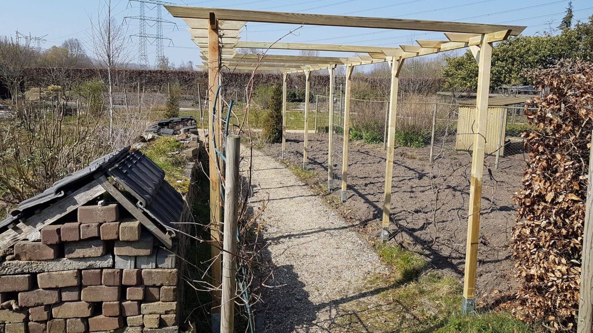 tuin Beursbox 2020