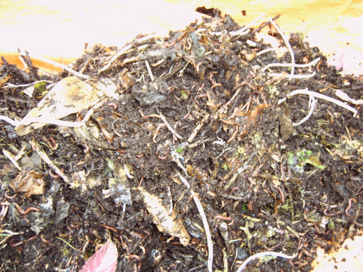 Compost maken